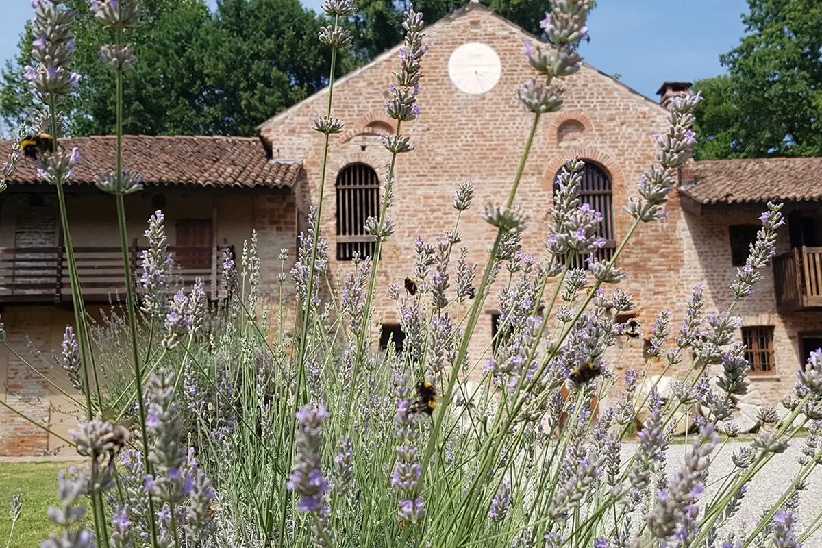 Il borgo di Chiaravalle con al centro l'Abbazia Un borgo agreste accanto a Milano? Vieni con noi a Chiaravalle