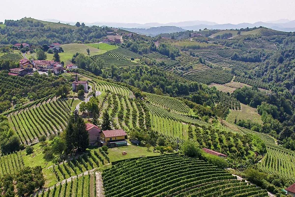I vigneti che circondano Cascina Bricco San Pietro