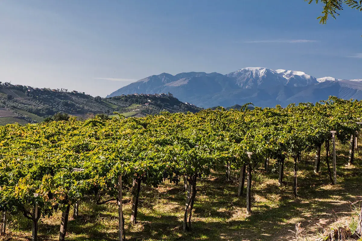 Con il marchio collettivo Trabocco gli spumanti d'Abruzzo puntano in alto