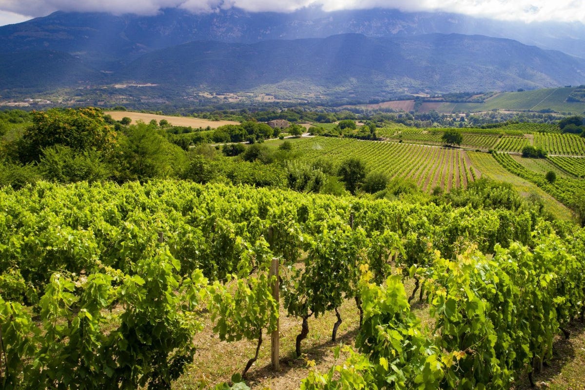 Torna Words of wine, il premio per chi racconta l’Abruzzo e i suoi vini