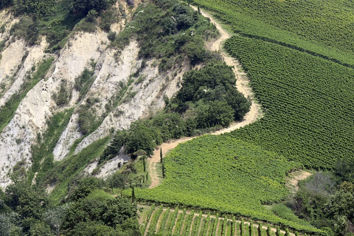 Vitigno su un monte Abruzzo wine experience, in vetrina le migliori etichette della Regione