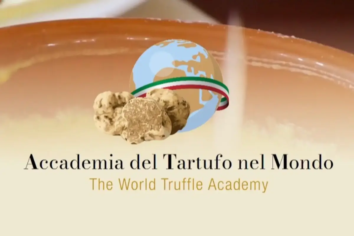 Sua Maest&agrave; il tartufo tra mistero e realt&agrave; tra magia e cucina