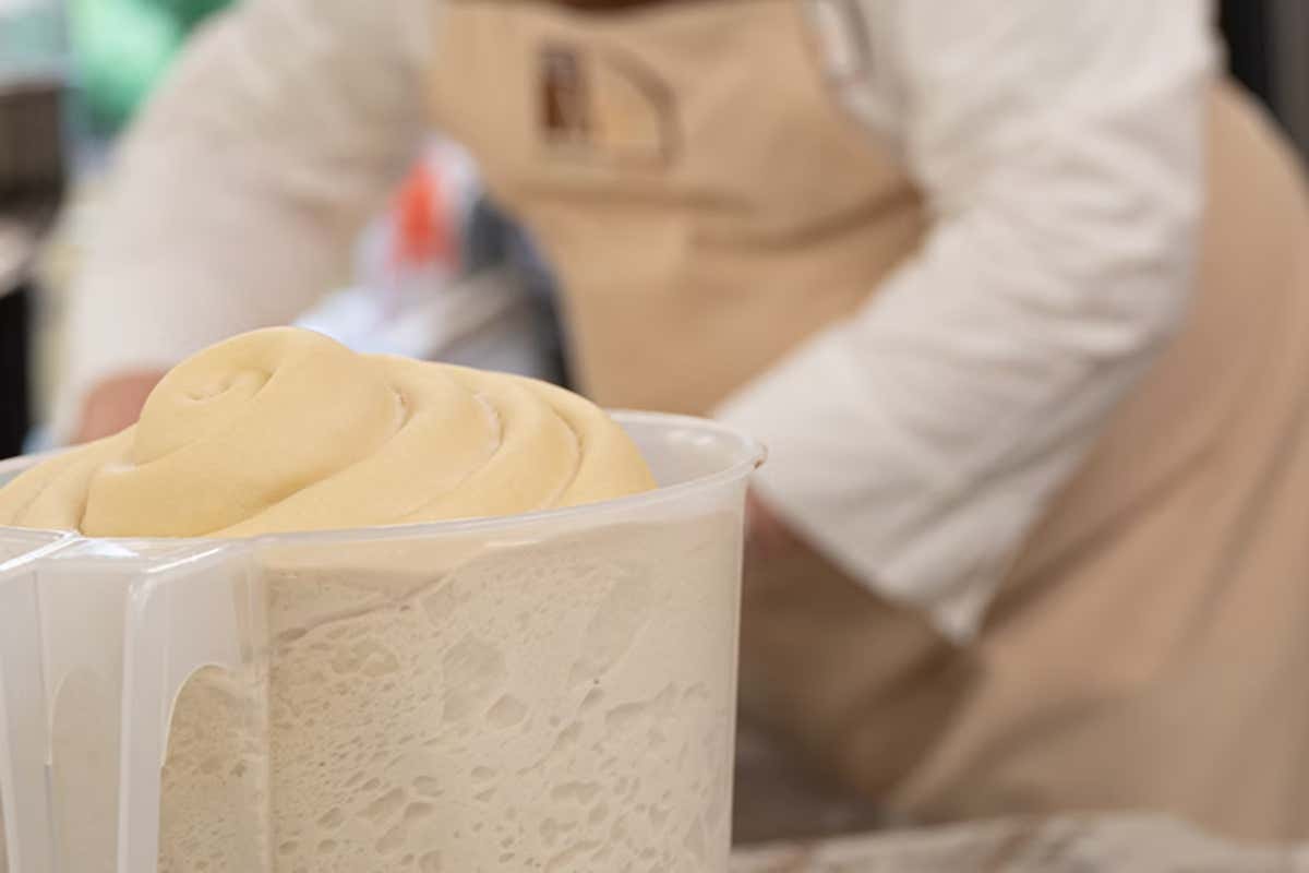 Per Claudio Gatti, i consumatori richiedono sempre di più dolci poveri di saccarosio, con grande interesse verso ingredienti vegetali e salutistici