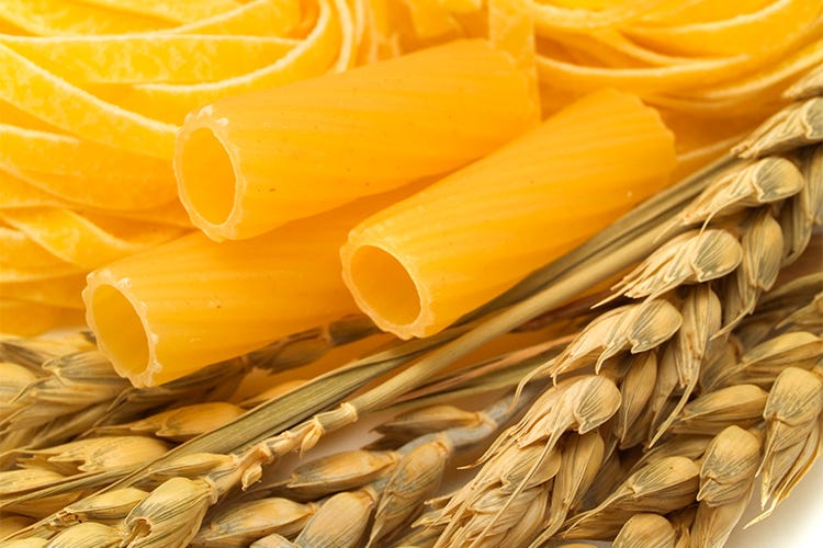 Accordo tra Barilla e agricoltori italiani  900mila tonnellate di grano per la pasta