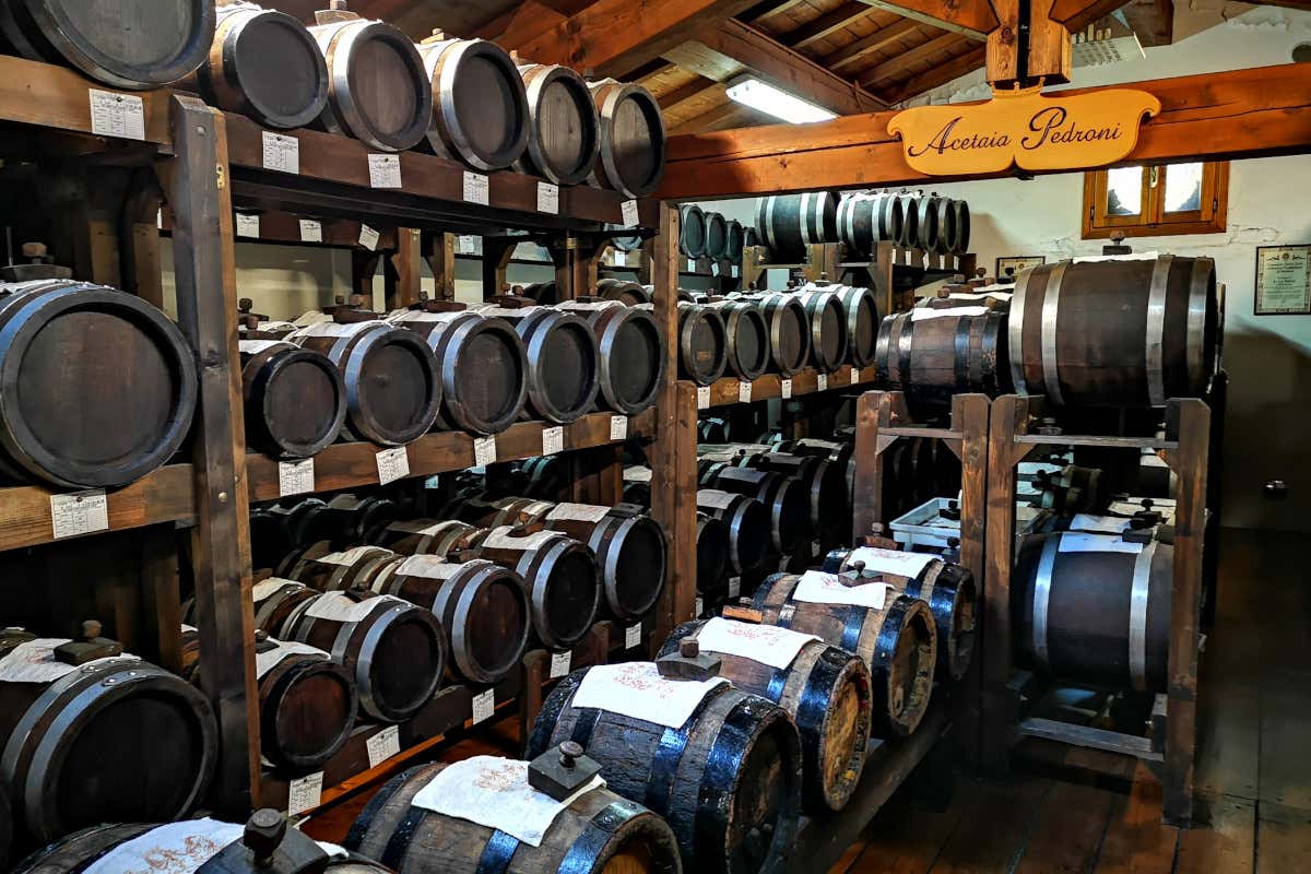 Le botti dell'Acetaia Pedroni Un viaggio a Modena a caccia di sapori genuini