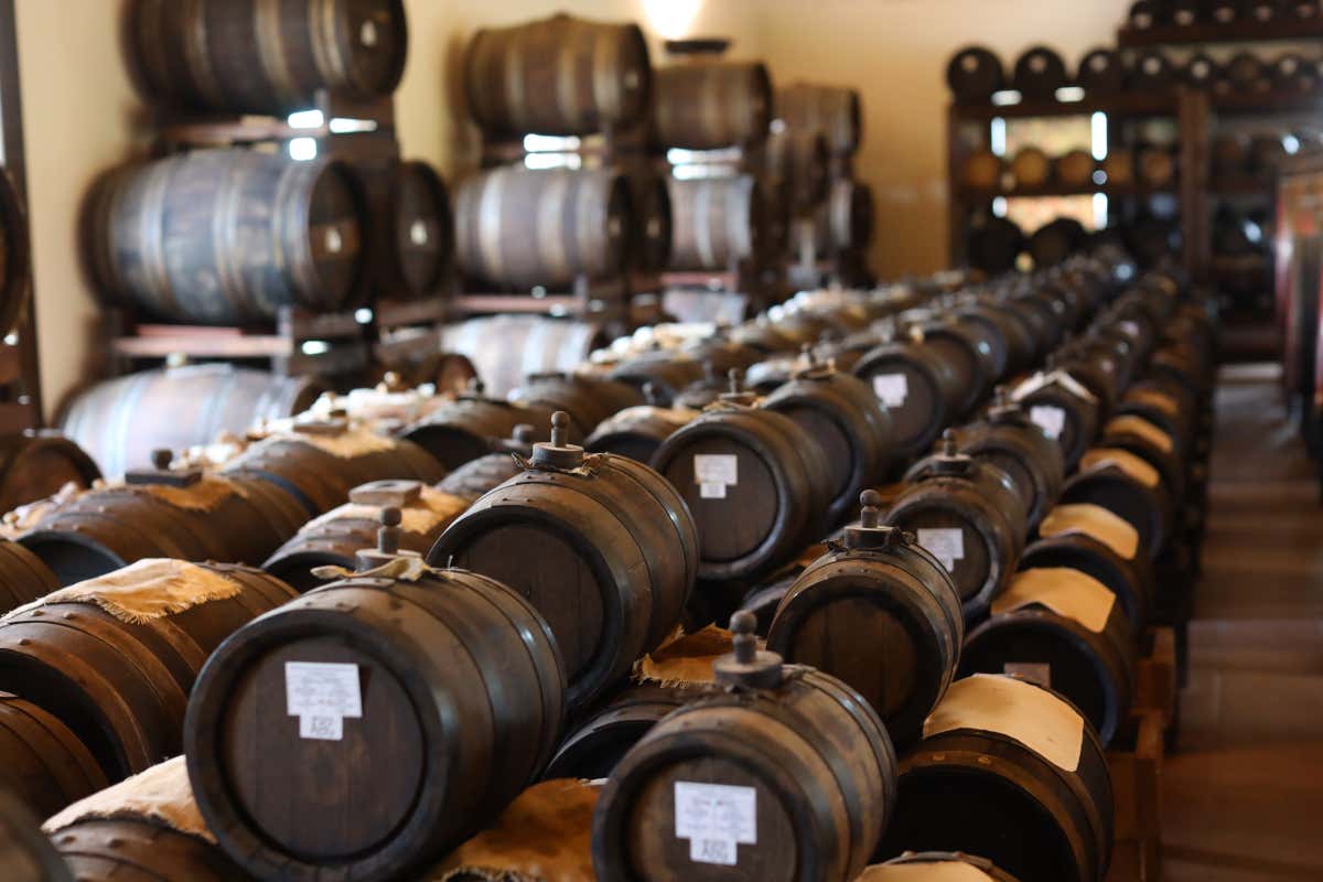 L'Oro Nero dell'Emilia? Si fa in famiglia, da quattro generazioni