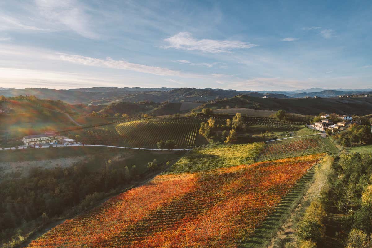 L'Oro Nero dell'Emilia? Si fa in famiglia, da quattro generazioni