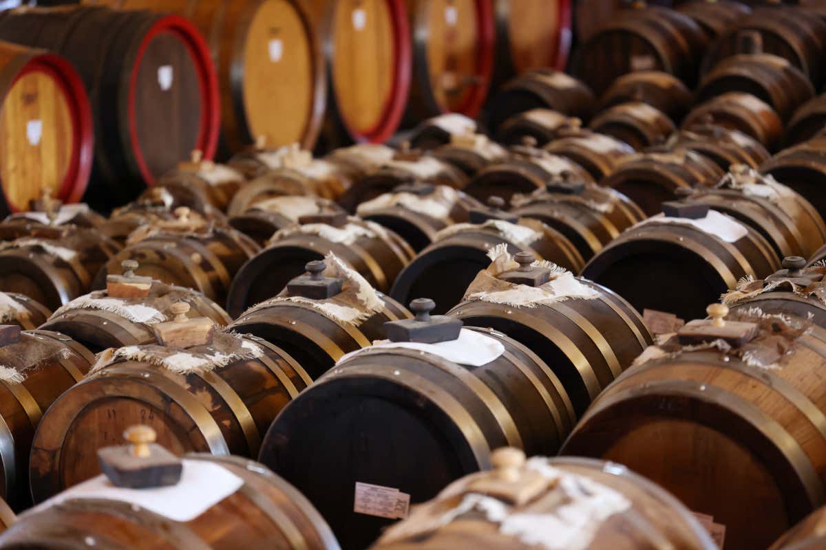 Tra colline e profumi balsamici, vivere il Natale con Acetaia Sereni