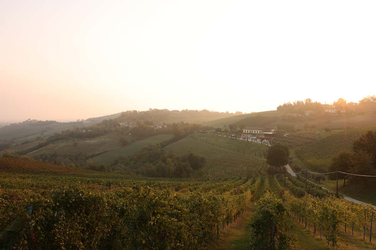 Tra colline e profumi balsamici, vivere il Natale con Acetaia Sereni
