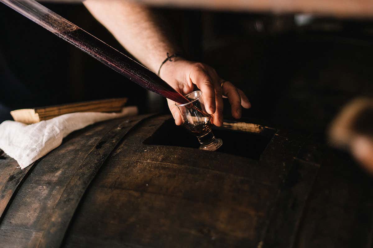 Settimana Balsamica 2025: arte, gusto e cultura a Modena per Acetaie Aperte