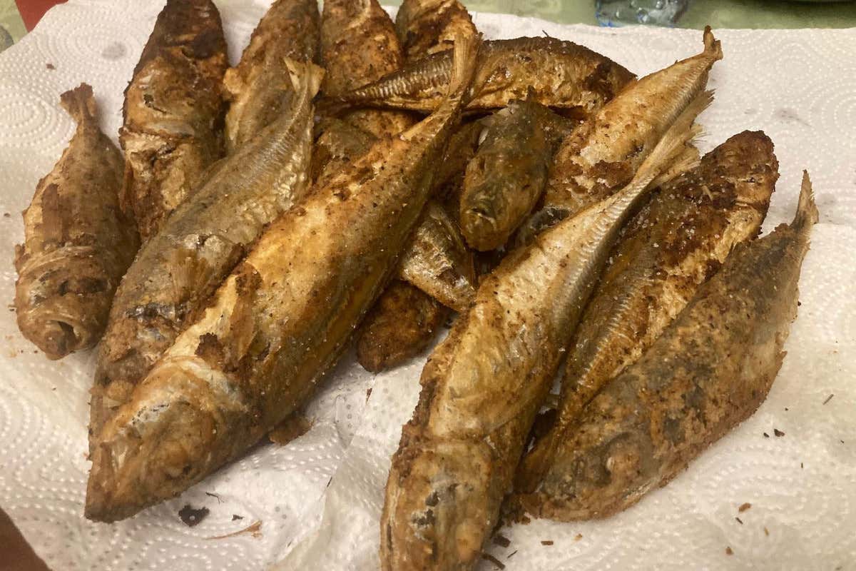 Una cena in Sicilia per riscoprire il valore dei pesci “dimenticati” Una cena in Sicilia per riscoprire il valore dei pesci “dimenticati”