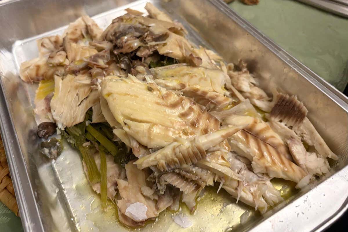 Una cena in Sicilia per riscoprire il valore dei pesci “dimenticati” Una cena in Sicilia per riscoprire il valore dei pesci “dimenticati”