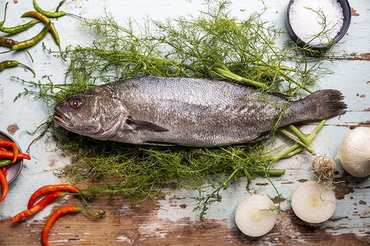 Spigola di orbetello (L&rsquo;acquacoltura di Orbetello Pesci buoni e salutari)