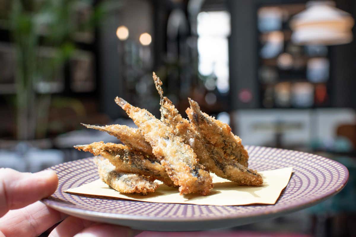 Aquamarina: il ristorante di pesce dell'hotel Umiltà 36 tra design e arte 