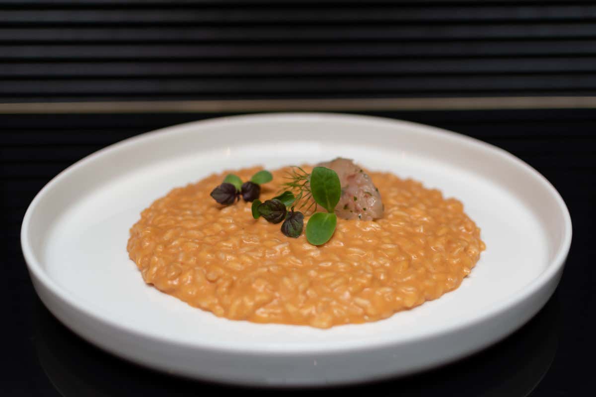 Aquamarina: il ristorante di pesce dell'hotel Umiltà 36 tra design e arte 