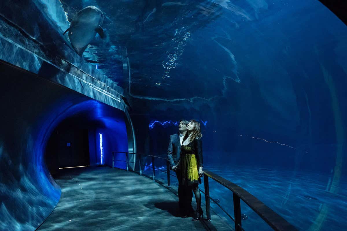 Non il solito hotel? Prova quello 