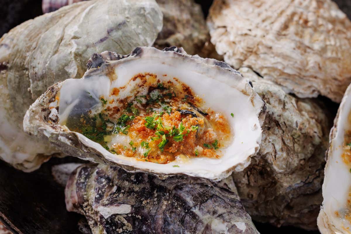 The Oyster Club proponeva una cucina di mare elegante in chiave informale