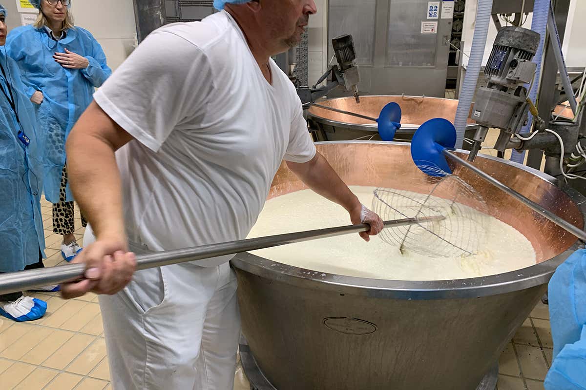 Una delle sessanta vasche del caseificio Roberto Brazzale: «Facciamo le cose dove riescono meglio»