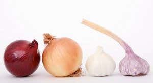 Aglio e cipolla tra i prodotti a marchio regionale di qualità