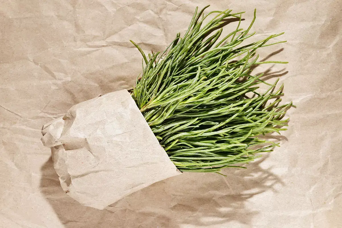 Agretti (o barba di frate): che cosa sono, i benefici e come cucinarli