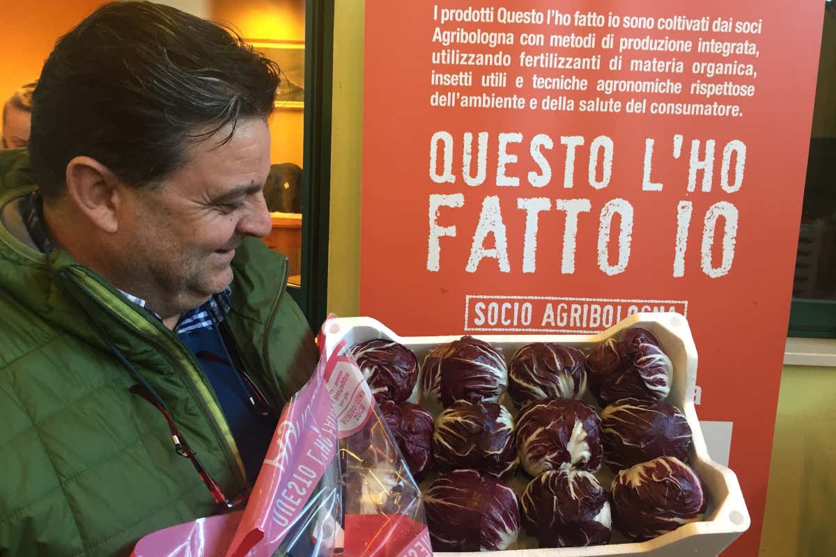 Radicchio rosso precoce e tardivo: la nuova linea di Agribologna con Terri Bertaggia