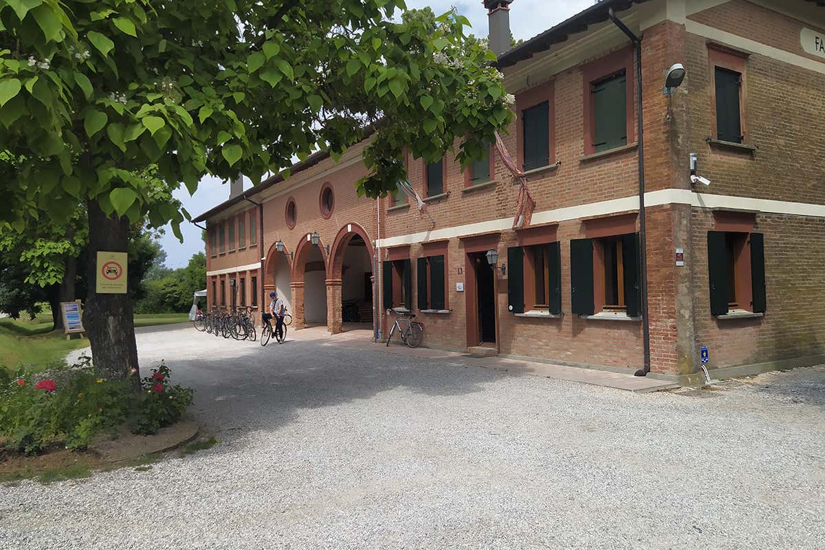 La struttura della risaia artigianale La Fagiana Jesolo: viaggio nell&rsquo;eccellenza agroalimentare