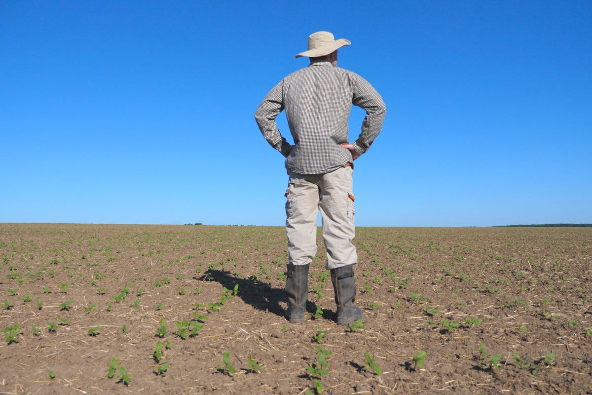 Calano le aziende agricole per effetto della guerra e dei cambiamenti climatici