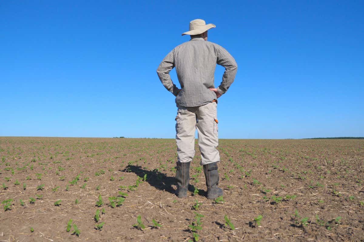 Calano le aziende agricole per effetto della guerra e dei cambiamenti climatici