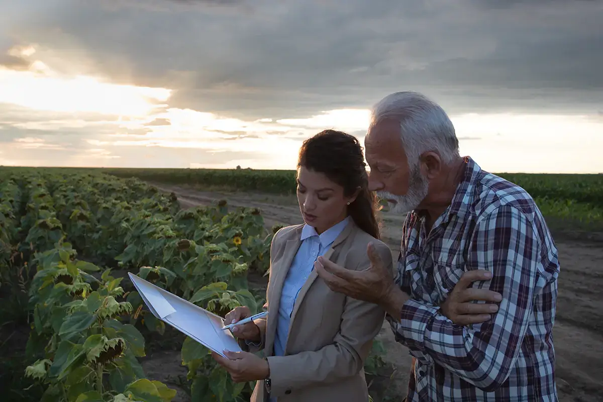 Nel 2021 i valori assicurati hanno raggiunto i 415 milioni di euro (+12% sul 2020) Agricoltura e cambiamenti climatici, la soluzione &egrave; assicurare i raccolti