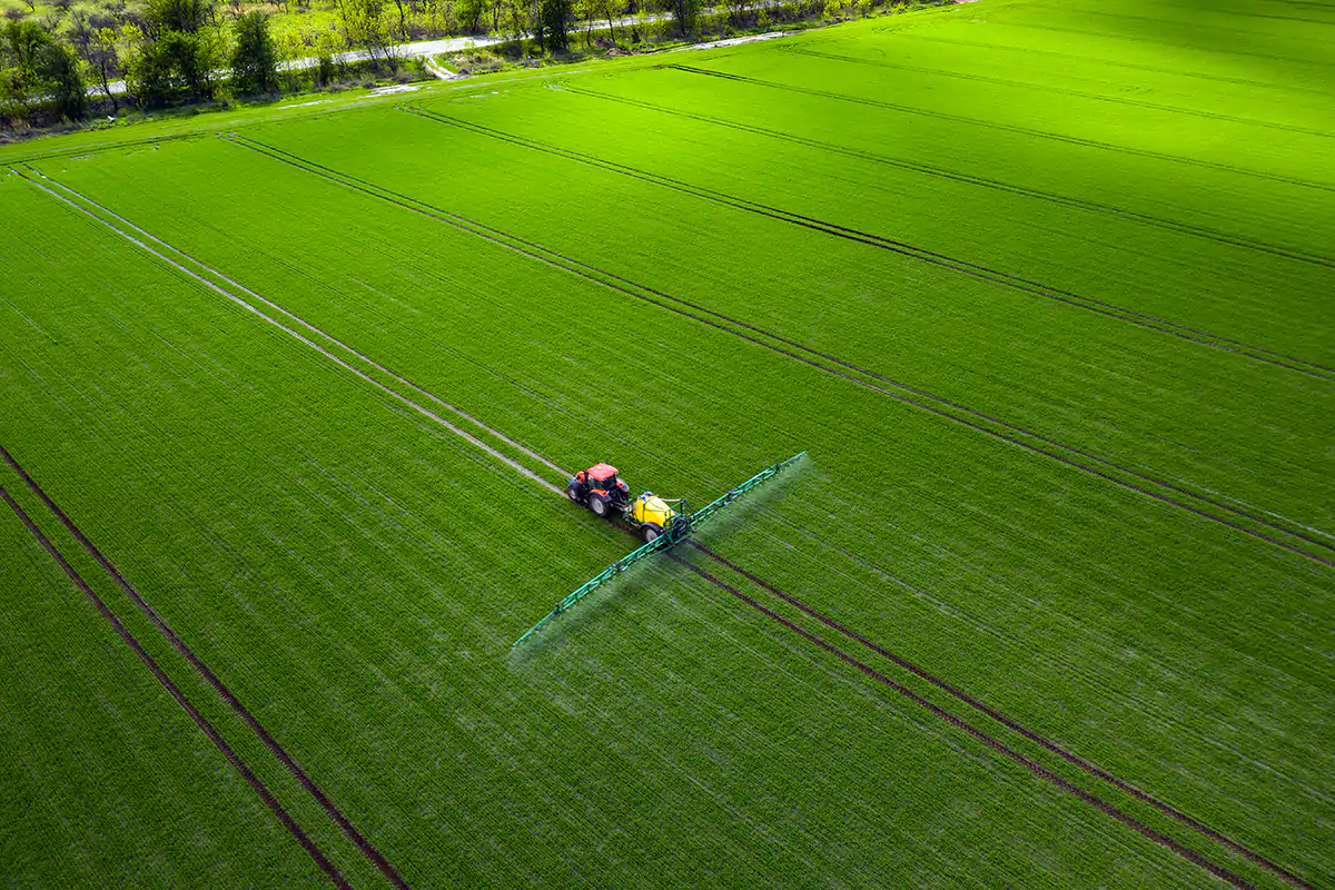 All'asta in Italia quasi 20mila ettari di terreni agricoli