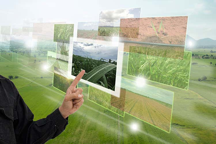 (L'agricoltura 4.0 vale 100 milioni di euro Dai droni in campo ai sensori sui trattori) (L'agricoltura 4.0 vale 100 milioni di euro Dai droni in campo ai sensori sui trattori)