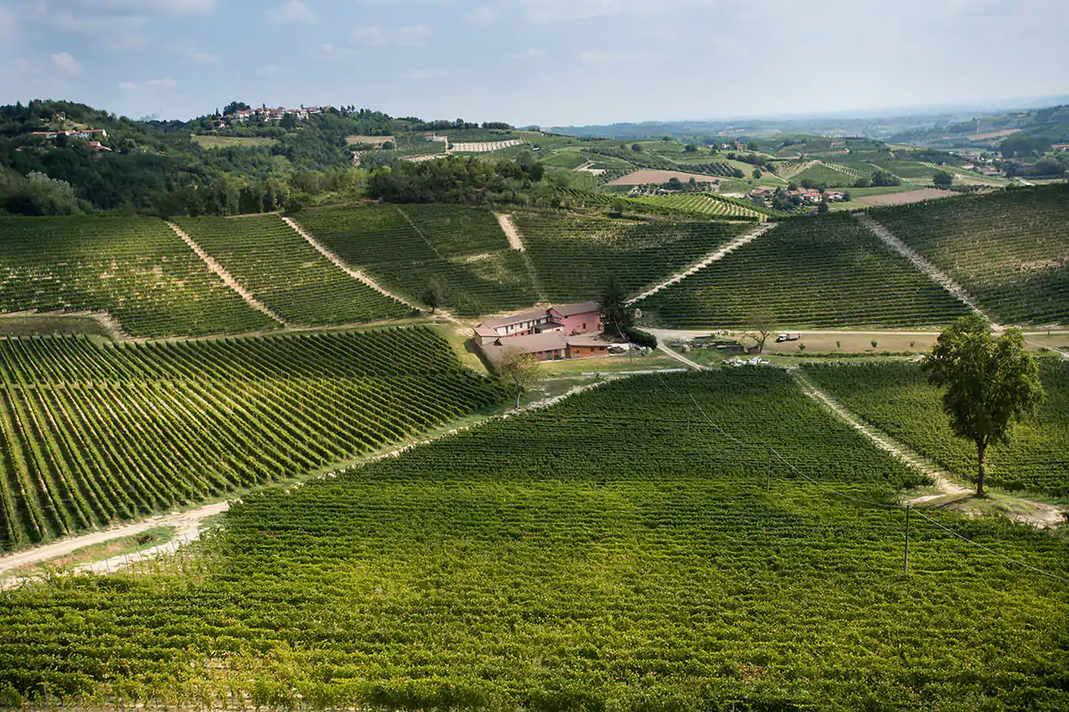 L&rsquo;agricoltura rigenerativa di Cascina V&egrave;ngore