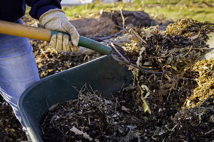 Non &egrave; tossico tutto quello che &egrave; prodotto dall&rsquo;agricoltura Rifiuti agricoli? Non tutti tossici La battaglia per cambiare la legge