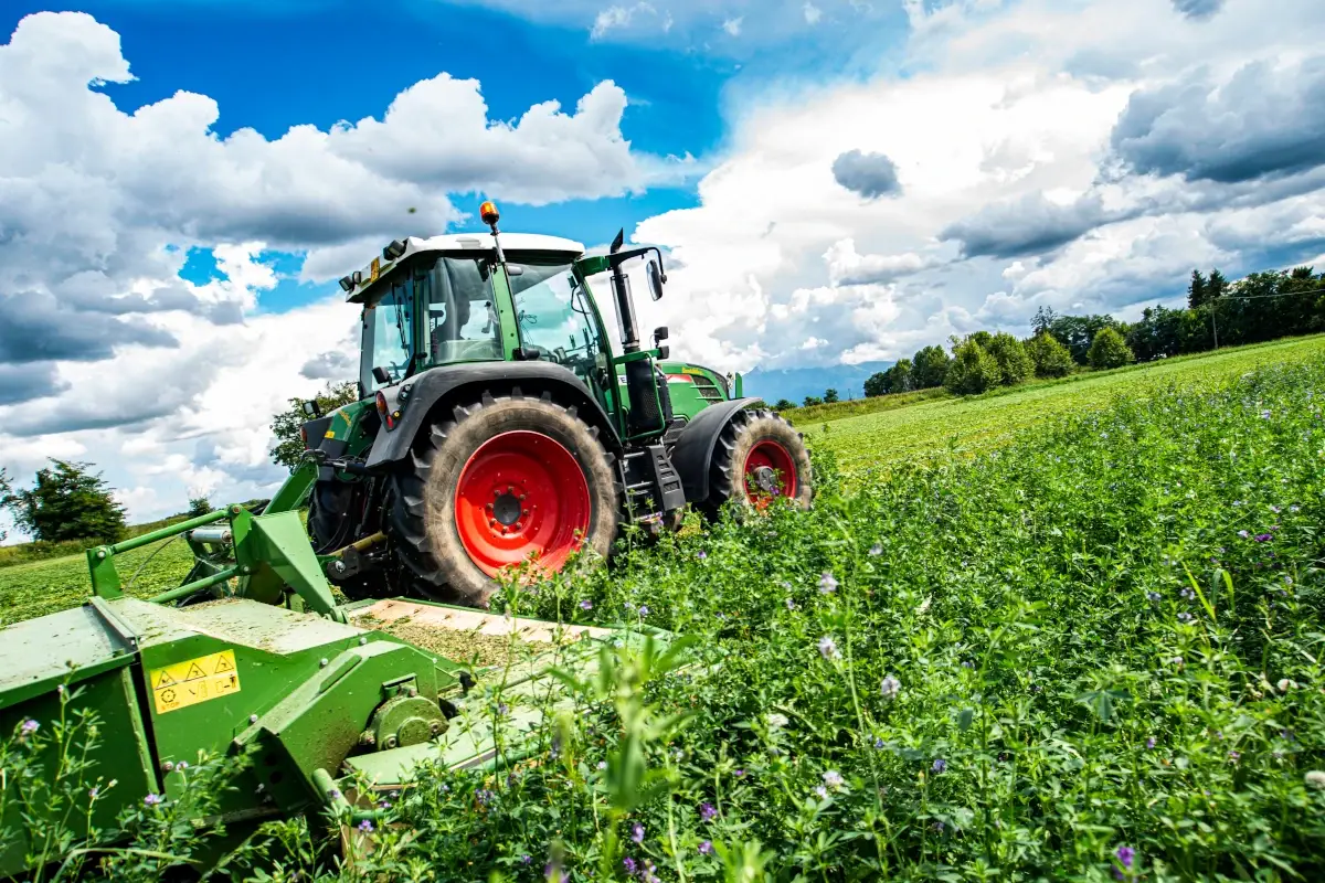 Approvati i Pac dall'Unione Europea L'Ue approva i Pac: 35 miliardi per l'agricoltura italiana