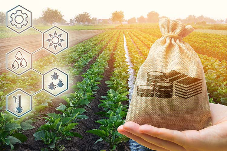 2 miliardi di euro all'agricoltura Agricoltura, 2 miliardi per il rilancio Aiuti ai lavoratori e alle donne 2 miliardi di euro all'agricoltura Agricoltura, 2 miliardi per il rilancio Aiuti ai lavoratori e alle donne