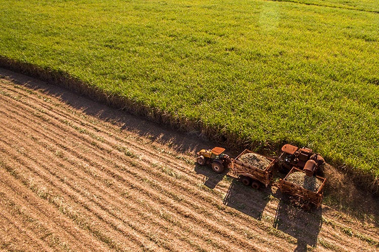 L’agricoltura torna a crescere 
Nel 2018 produzione su dello 0,6%