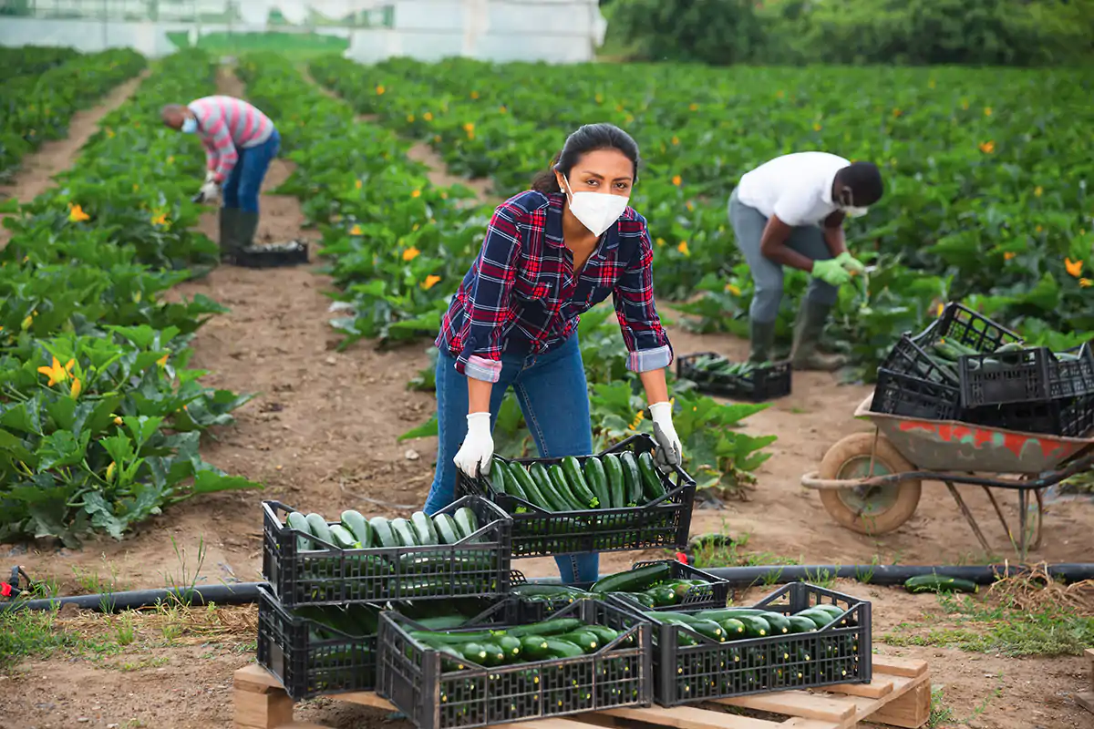 Ai lavoratori agricoli riconosciuto un indennizzo una tantum di 800 euro Sostegni Bis: ecco tutti gli aiuti per ristoranti, turismo e agroalimentare