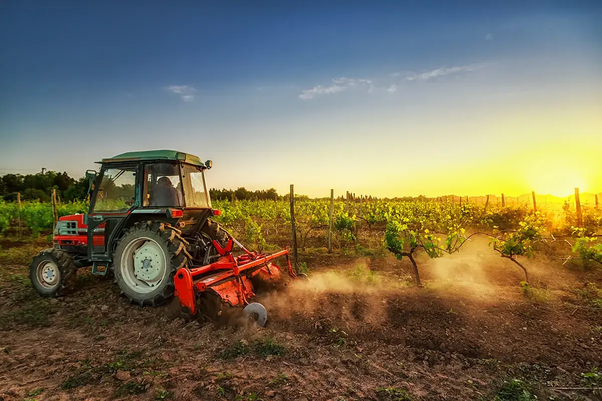 Sos degli agricoltori al Governo: &ldquo;Salviamo il Made in Italy&rdquo;