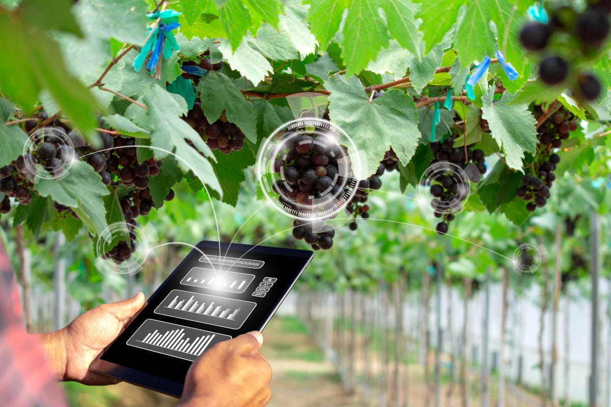 Agricoltura 4.0: le tecnologie rivoluzionano (anche) il mondo del vino