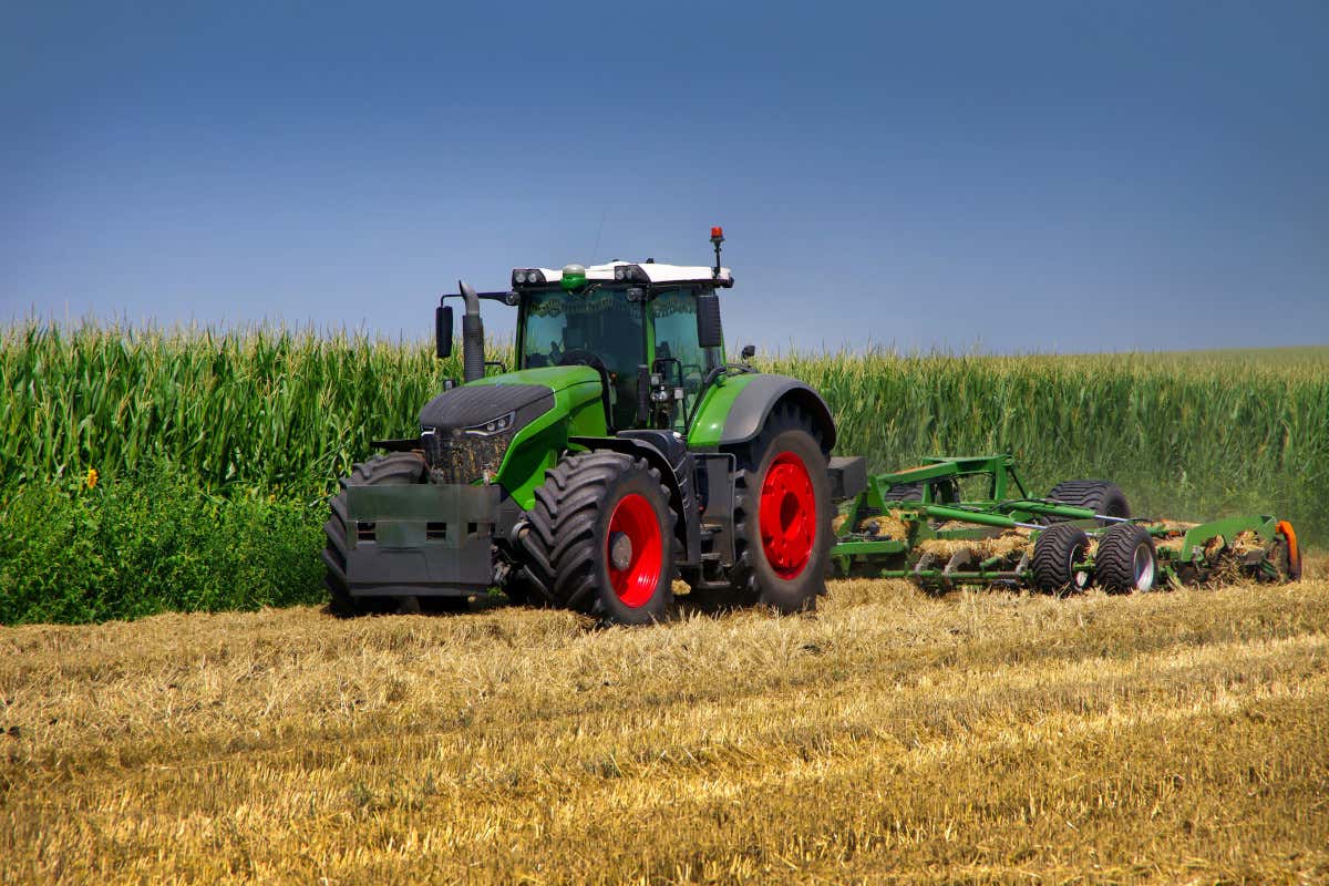 Produzione agricola in Lombardia: crescita del 7/9% nel 2025 Produzione agricola in Lombardia: crescita del 7/9% nel 2025