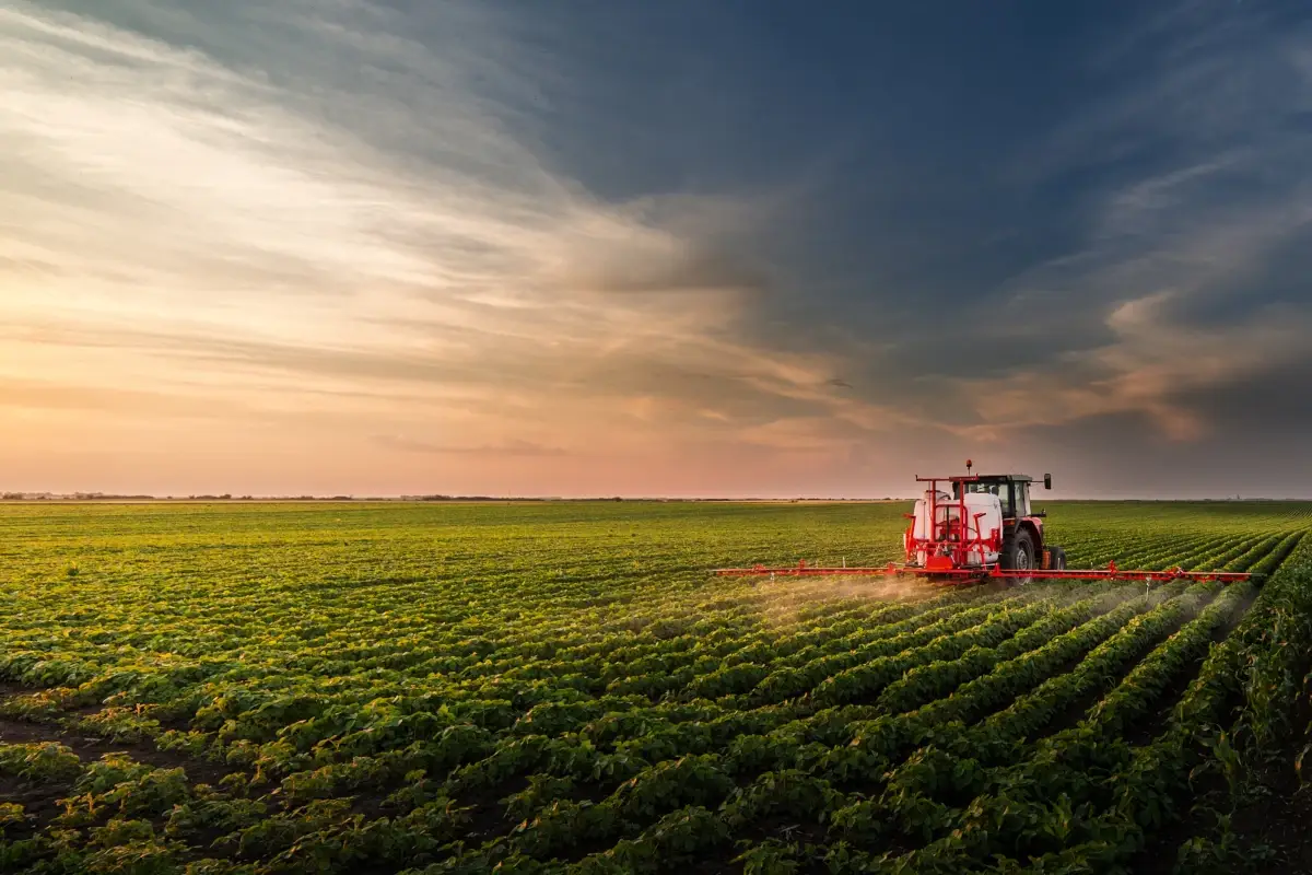 La guerra spinge il mondo verso la crisi alimentare