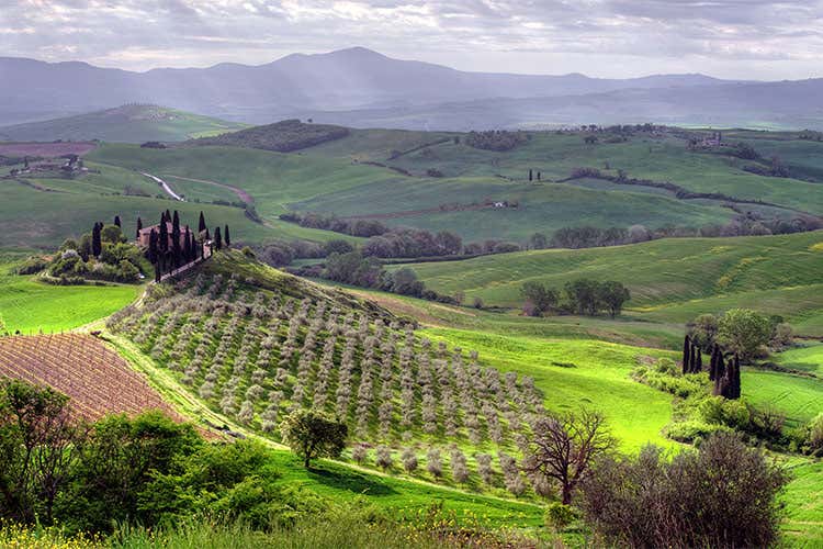 (Multifunzionalit&agrave; in agricoltura Tema centrale di AgrieTour 2017)