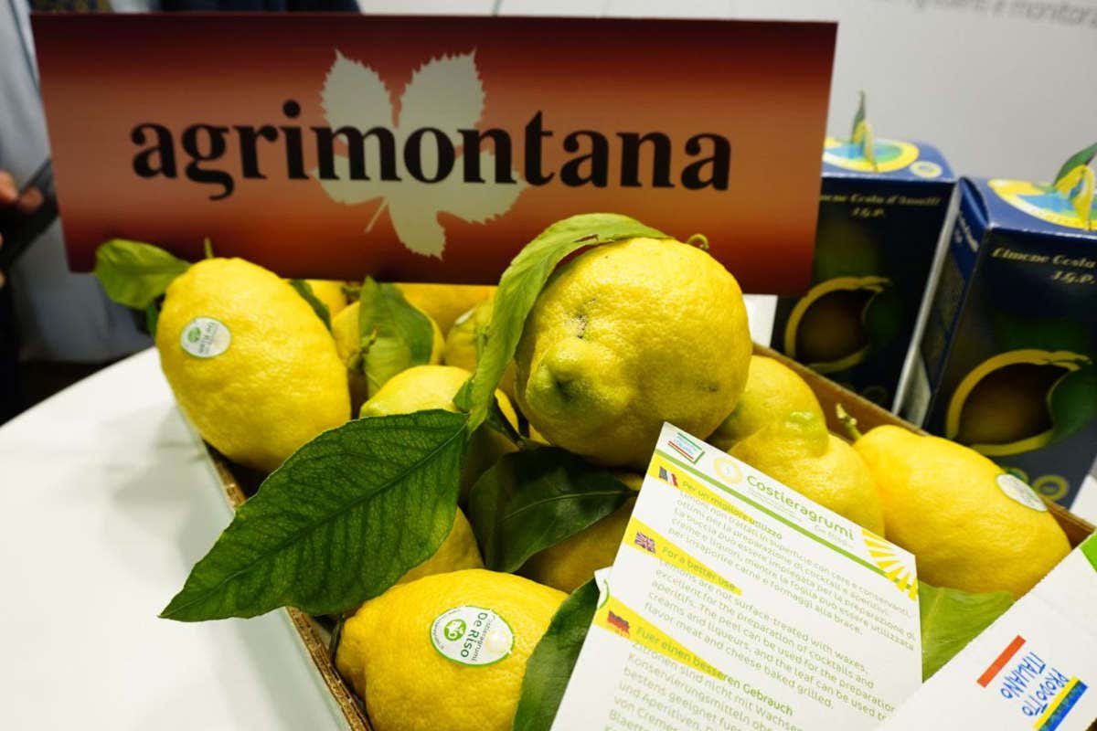 Innovazione e gusto: il successo delle aziende foodservice al Sigep 2024