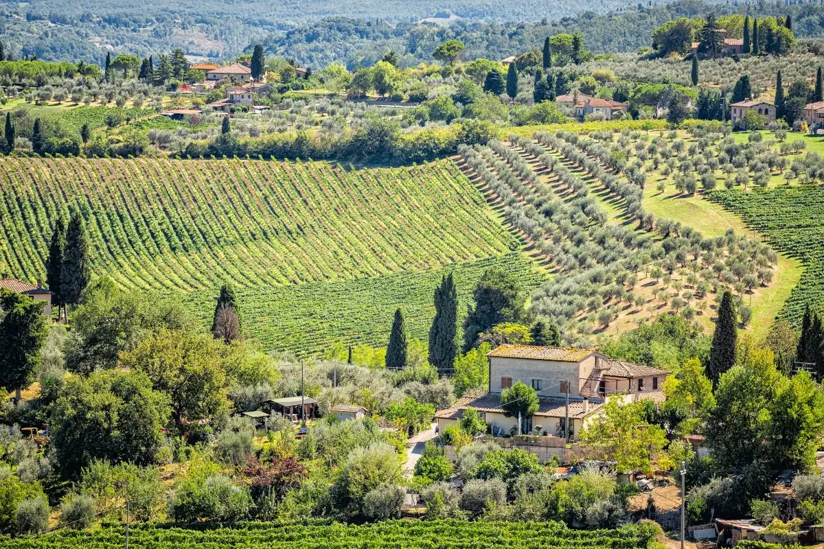 Agriturismi post pandemia, ecco i trend per rilanciarsi