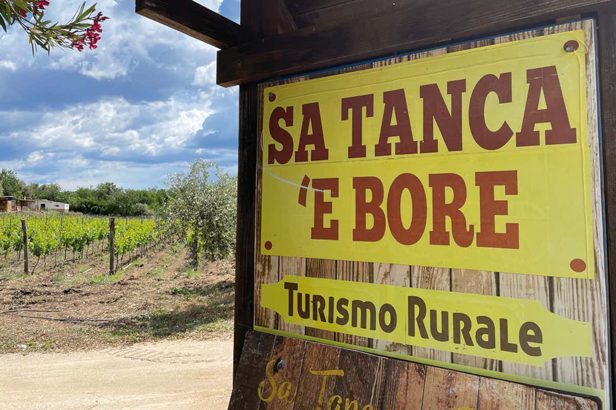 Da “Sa Tanca 'e Bore” per scoprire profumi e sapori della Sardegna