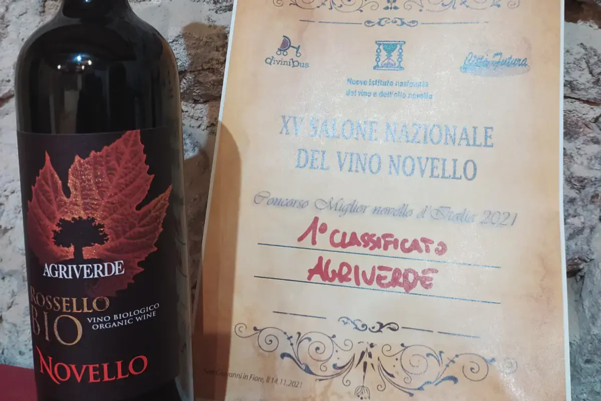Terre di Chieti Igp biologico “Rossello” di Agriverde Il miglior vino novello d'Italia? Non uno, ma due ed entrambi bio