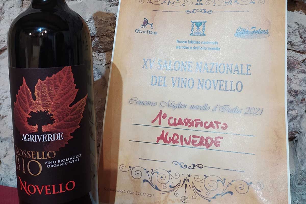 Terre di Chieti Igp biologico “Rossello” di Agriverde Il miglior vino novello d'Italia? Non uno, ma due ed entrambi bio