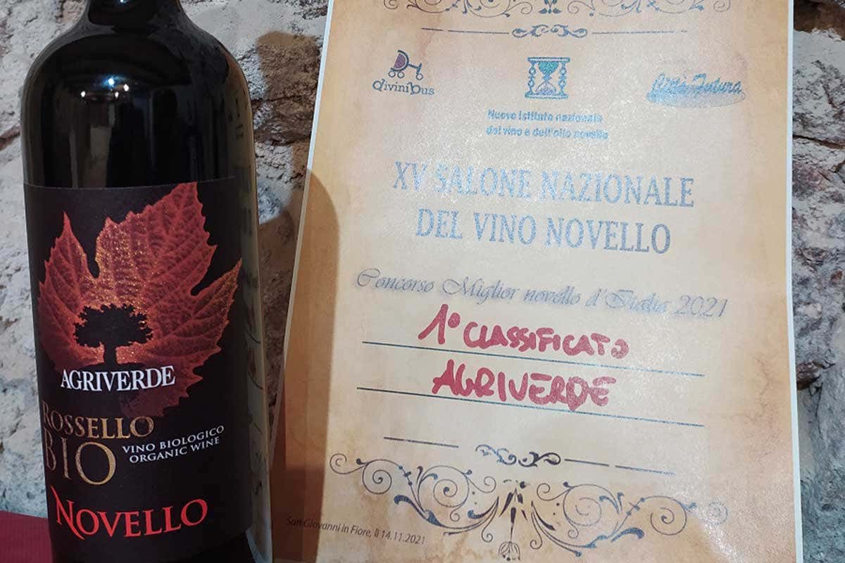 Terre di Chieti Igp biologico “Rossello” di Agriverde Il miglior vino novello d'Italia? Non uno, ma due ed entrambi bio
