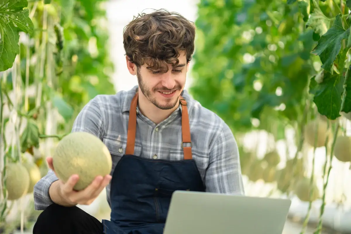 Agroalimentare, via libera agli aiuti per potenziare la vendita con l&rsquo;e-commerce