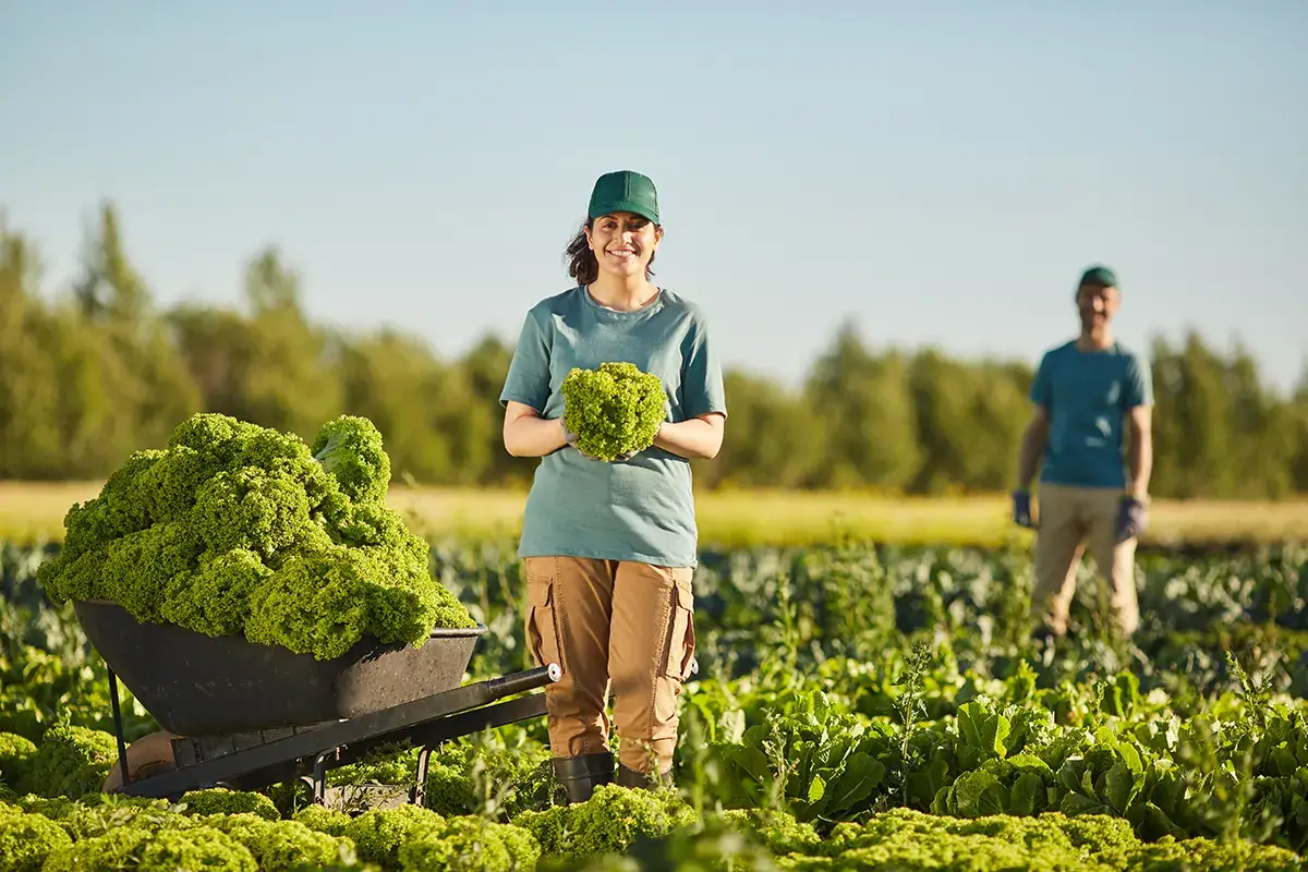 Vola il business dell'agroalimentare Agroalimentare, valore aggiunto da 64 miliardi di euro